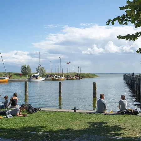 Schilfrohrsaenger 39 * Fuhlendorf (Mecklenburg-Vorpommern)