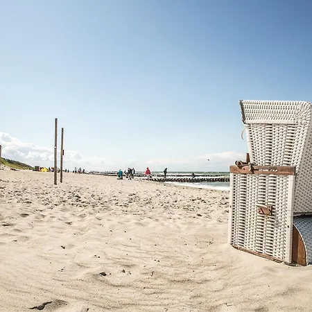 Schilfrohrsaenger 39 Fuhlendorf (Mecklenburg-Vorpommern)