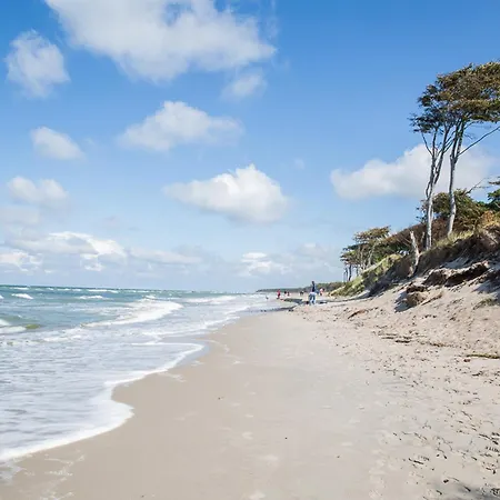 Casa de Férias Schilfrohrsaenger 39