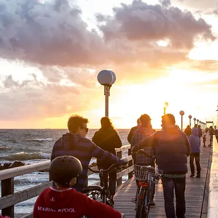 Schilfrohrsaenger 39 Fuhlendorf (Mecklenburg-Vorpommern)