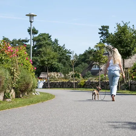 Schilfrohrsaenger 39 Fuhlendorf (Mecklenburg-Vorpommern)