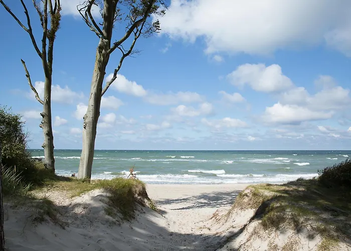 بيت للعطل Schilfrohrsaenger 39 Fuhlendorf (Mecklenburg-Vorpommern)